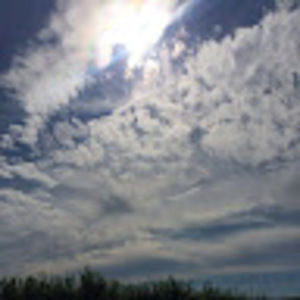 Meet your Posher, Erik